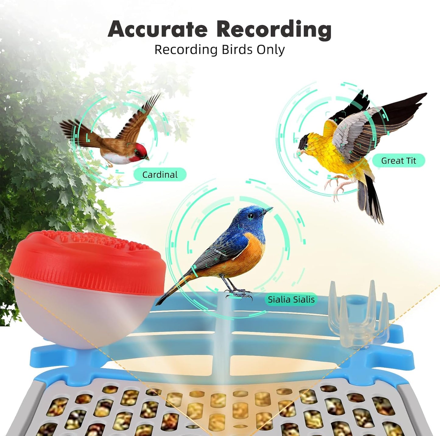 Smart Bird Feeder with Camera