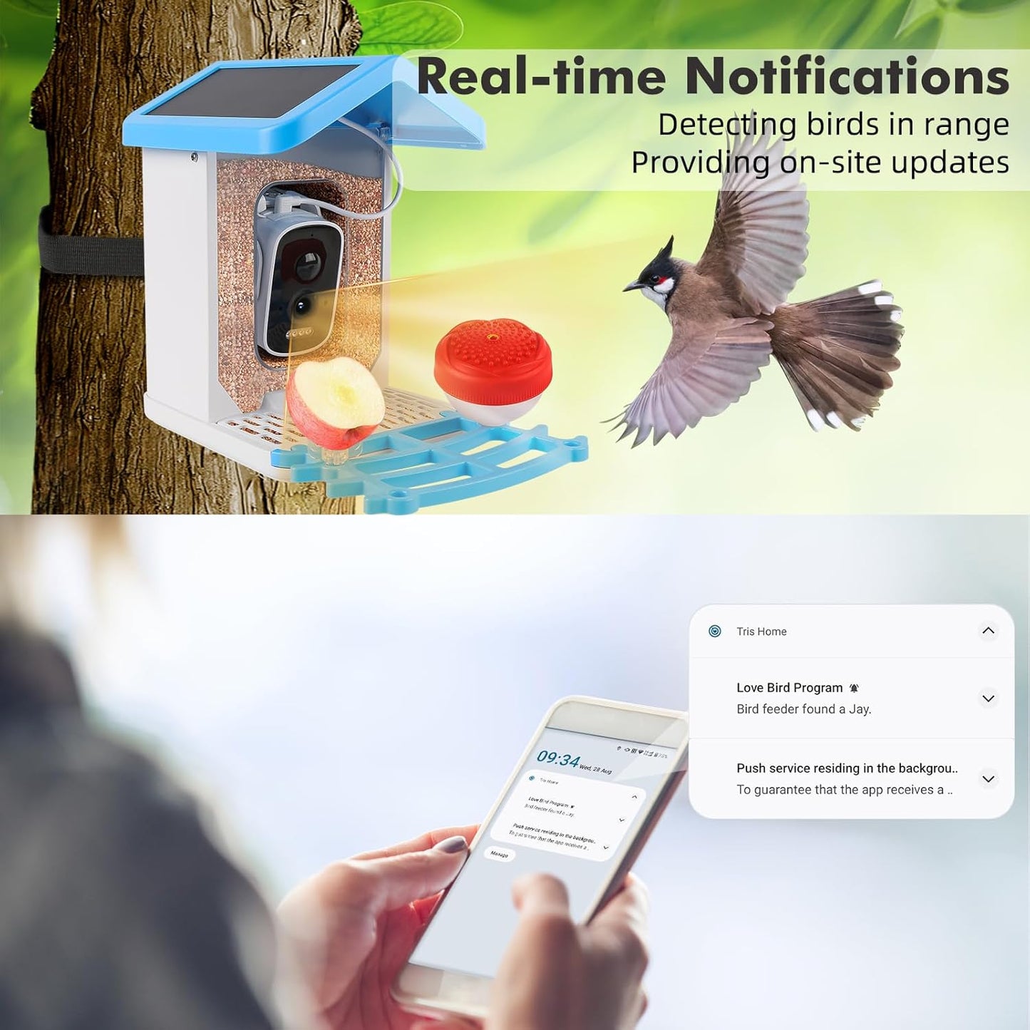 Smart Bird Feeder with Camera