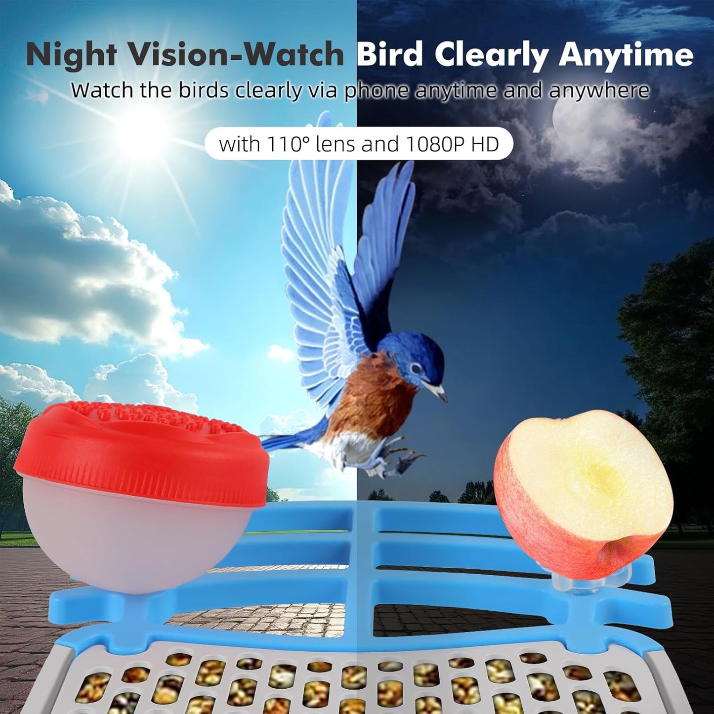 Smart Bird Feeder with Camera