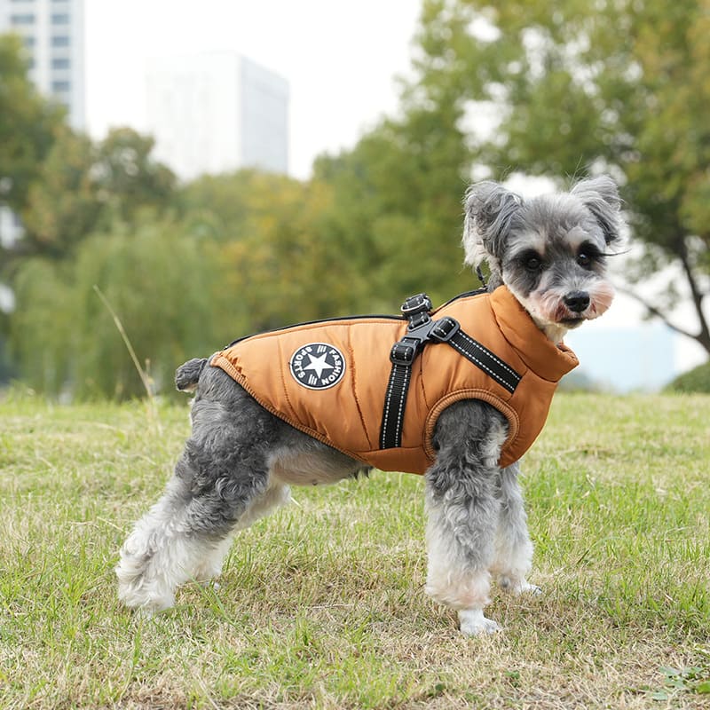 Waterproof Winter Jacket with Built-in Harness