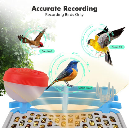 Smart Bird Feeder with Camera