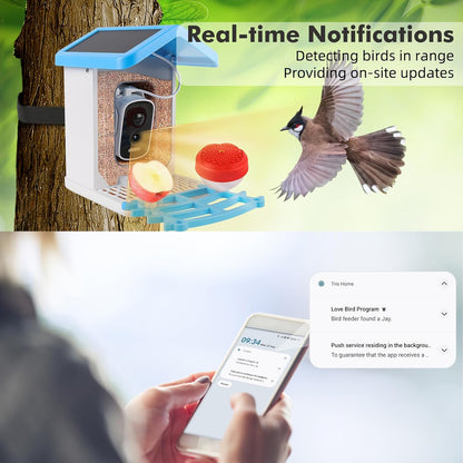 Smart Bird Feeder with Camera